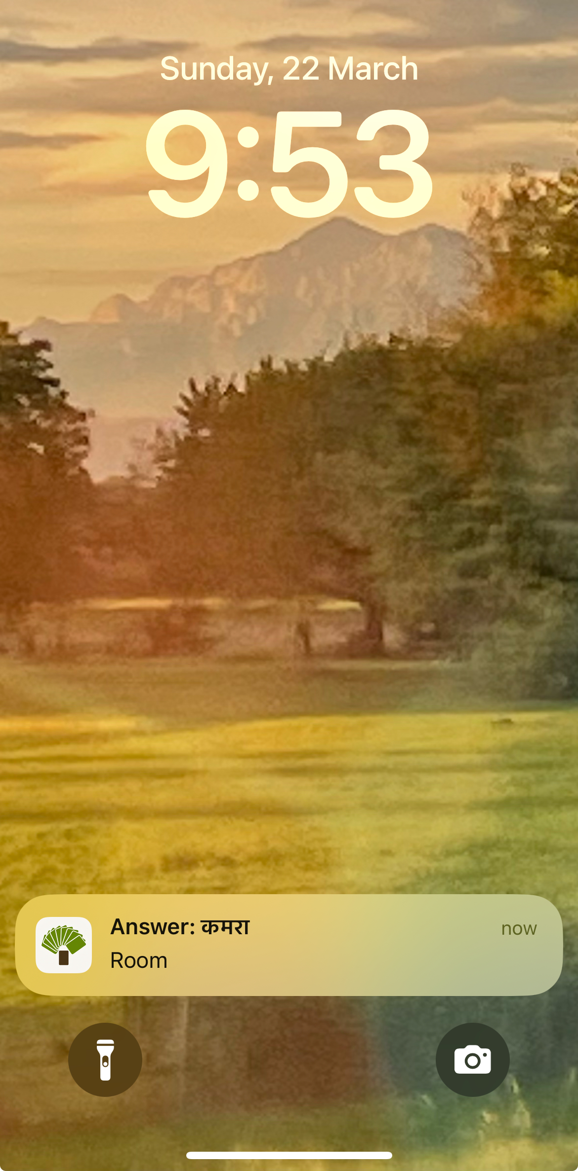 Flashcard answer screenshot